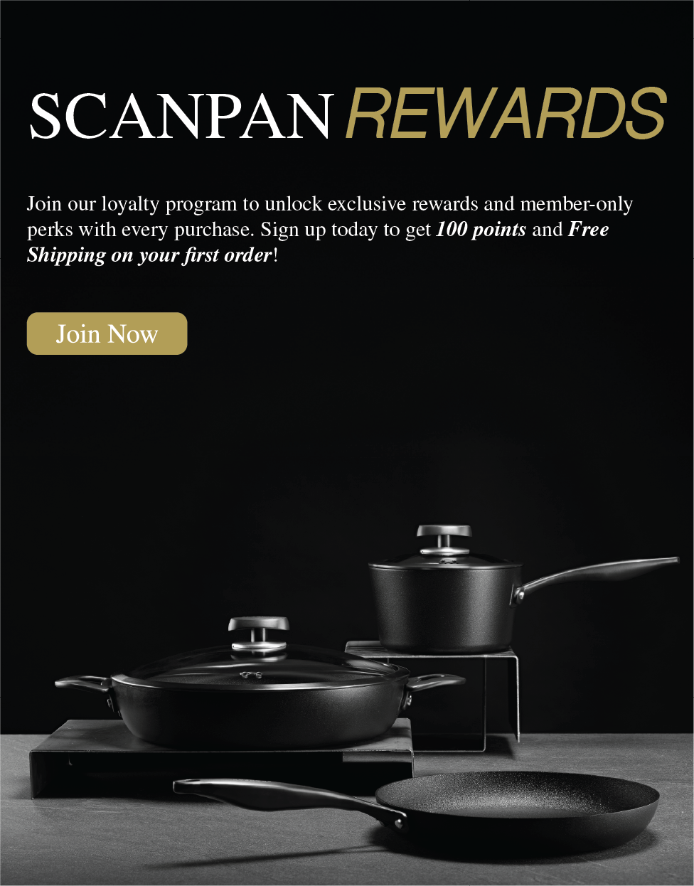 Scanpan Asia Pacific